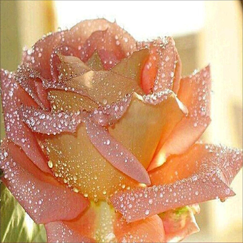 Diamond Embroidery Flowers with Dewdrops Round DIY Diamond Painting Decor