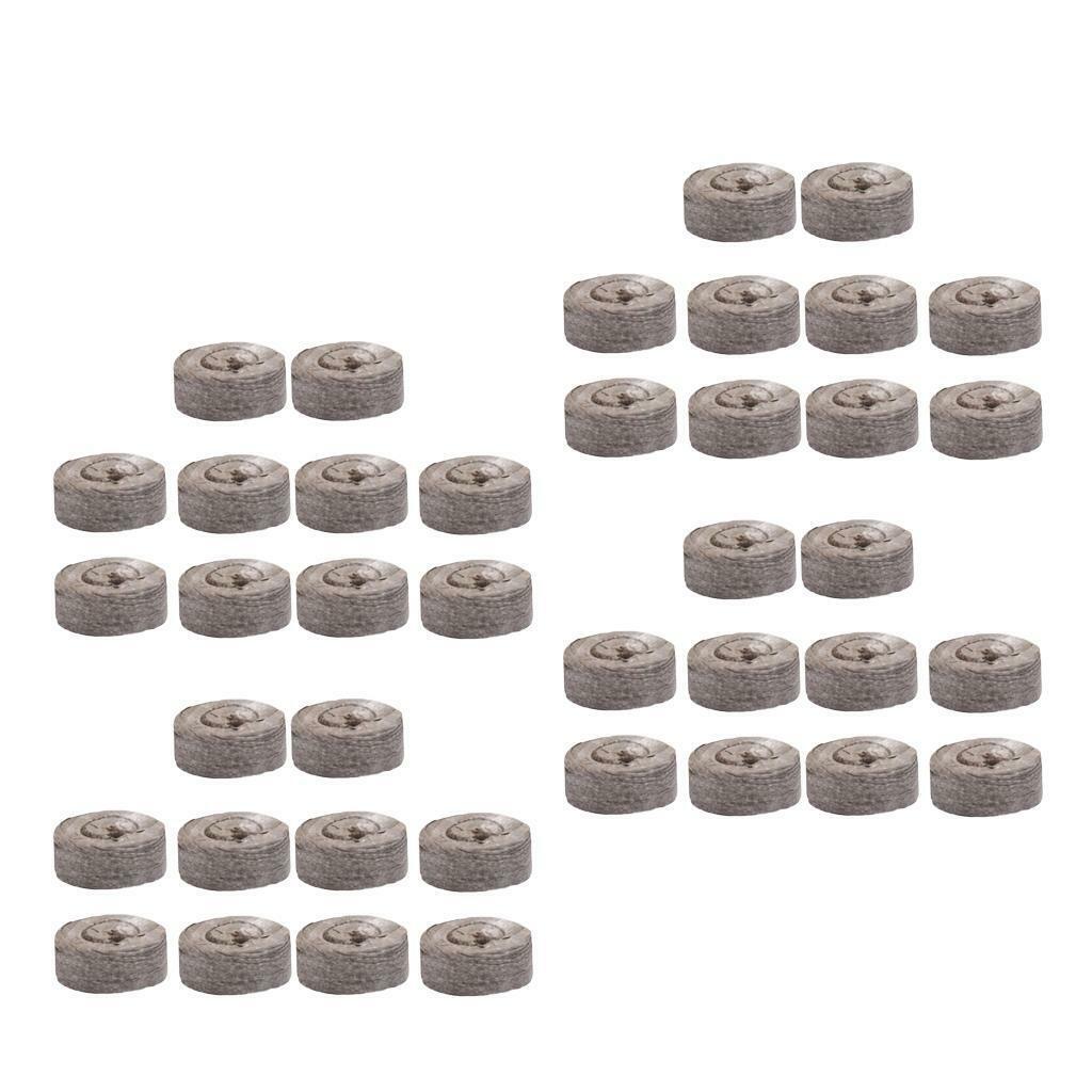 40Pcs Nursery Block Peat  Thumb Seedling  Block 31mm