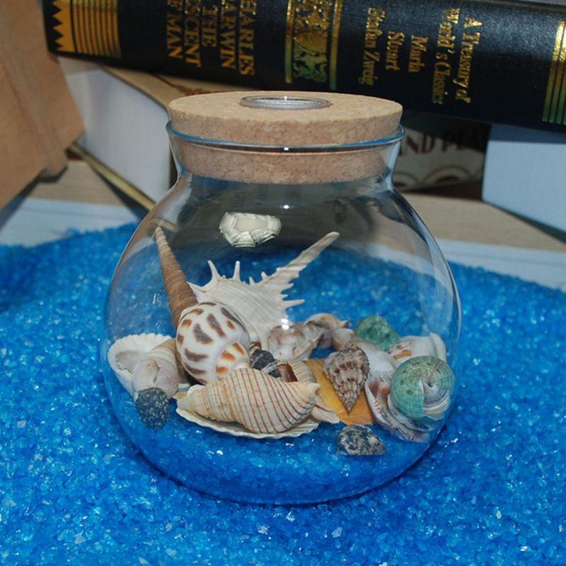 120g Natural Turbo Seashell Sea Conch Hermit Crab House Aquarium Practical Shell
