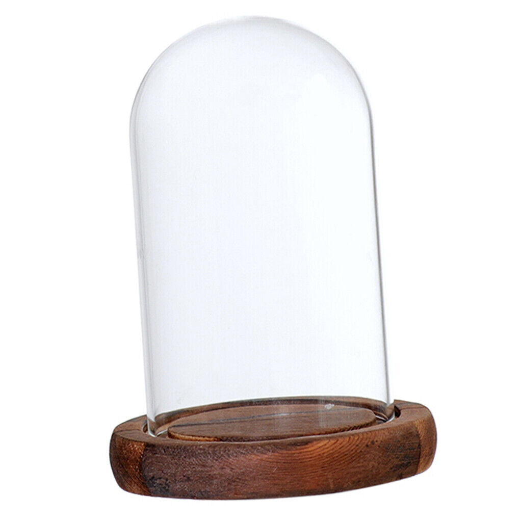 Dome Cloche with Wooden  Flower Landscape Holder  Brown - A