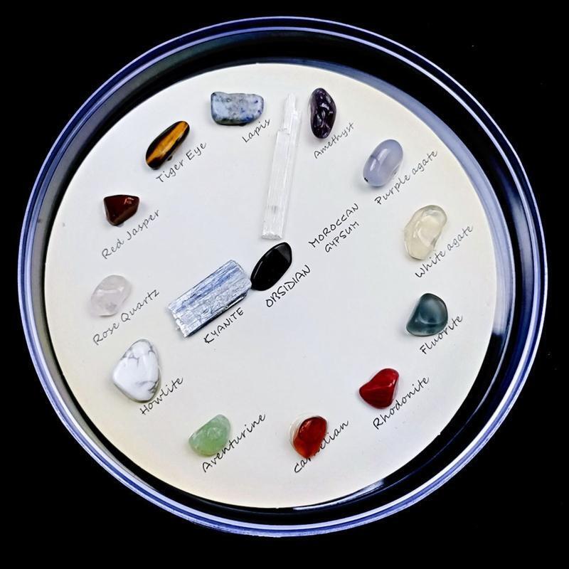 Exquisite Polished Natural Stones Geological Teaching Props for Teacher Student