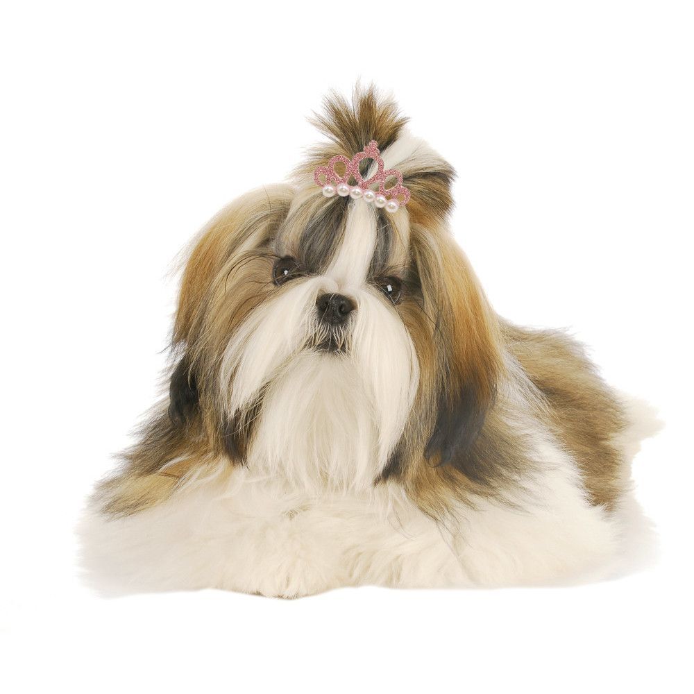 Cat Grooming Pet Headwear Crown Shape Bow-tie Hairpin Dog Bowknot Hair Clip