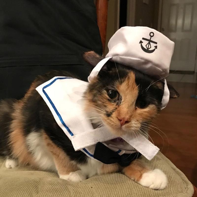Pet Costume for Holiday Cat Halloween Hat Dog Outfit Sailor-Cap with Shawl