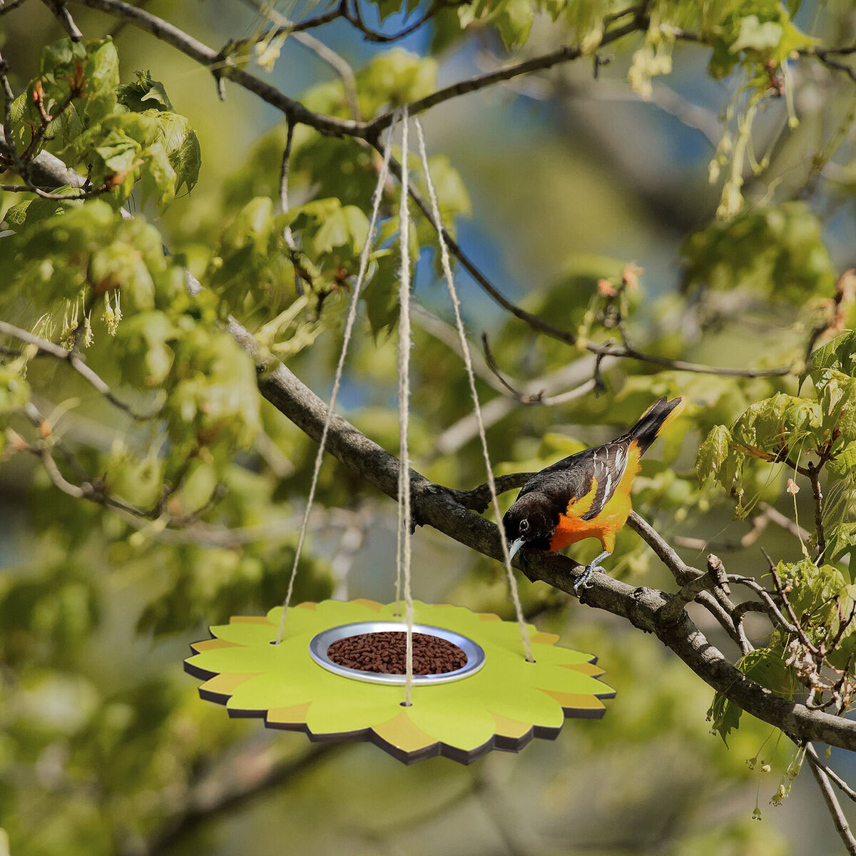 Bird Feeders for Outside - Hanging Platform Bird Feeder Seed Tray Plate
