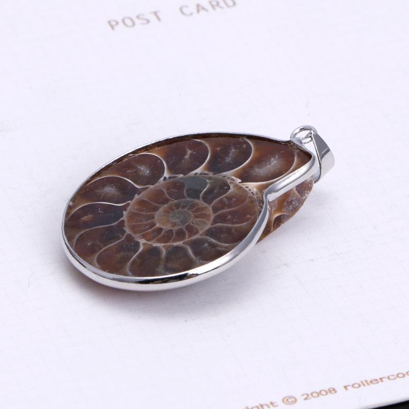 Fashion Colorful Spotted Conch Fossil Seashell Snail Pendant for  Friends