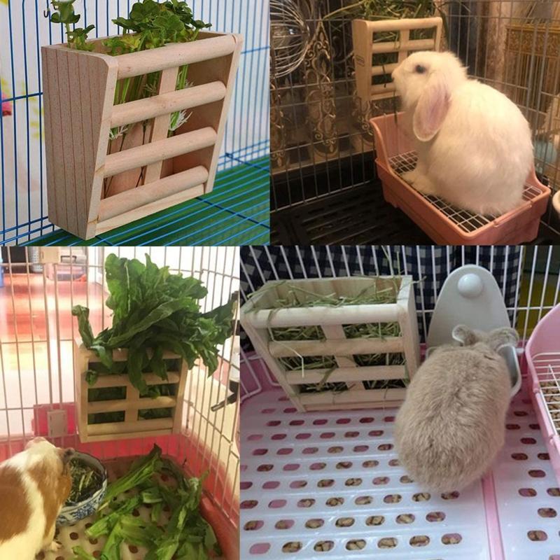 Guinea Pigs Grass Holder Small Animal Pet Chinchilla Grazer Chew Proof Shelf