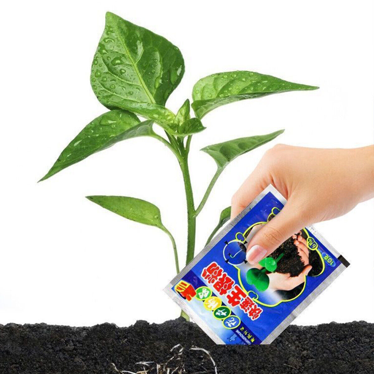 Fast Rooting Powder Hormone Growing Root Seedling Germination Cutting Plant Seed