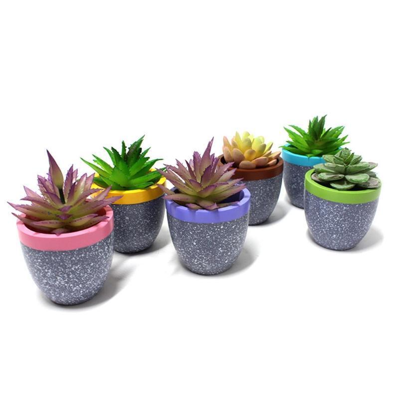 6Pcs Garden Pots Fit for Most Succulent Plants Flowers Indoor Planter Supplies