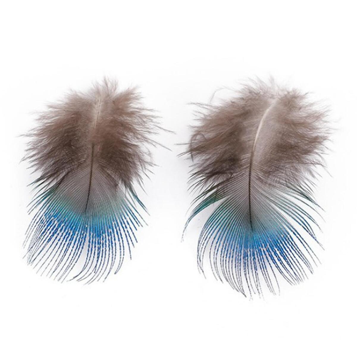 10x Blue Peacock Feathers DIY Headdress Craft Bulk Body Feathers for Show Vases