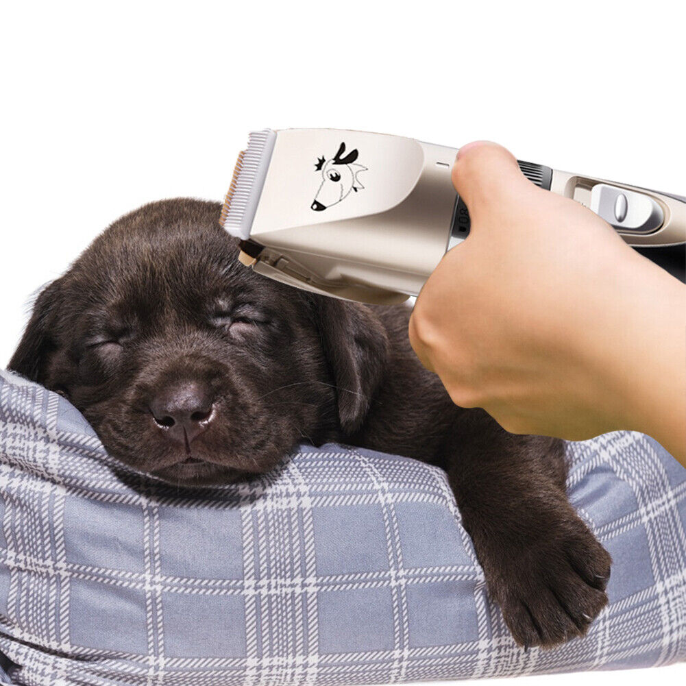 Pet Grooming Tool Dog Electric Hair Cutter Blades Replaceable Cutter Head