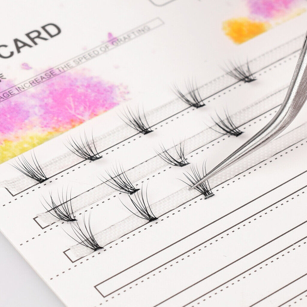10  Cluster  Extensions Individual False Eye Lashes Organizers