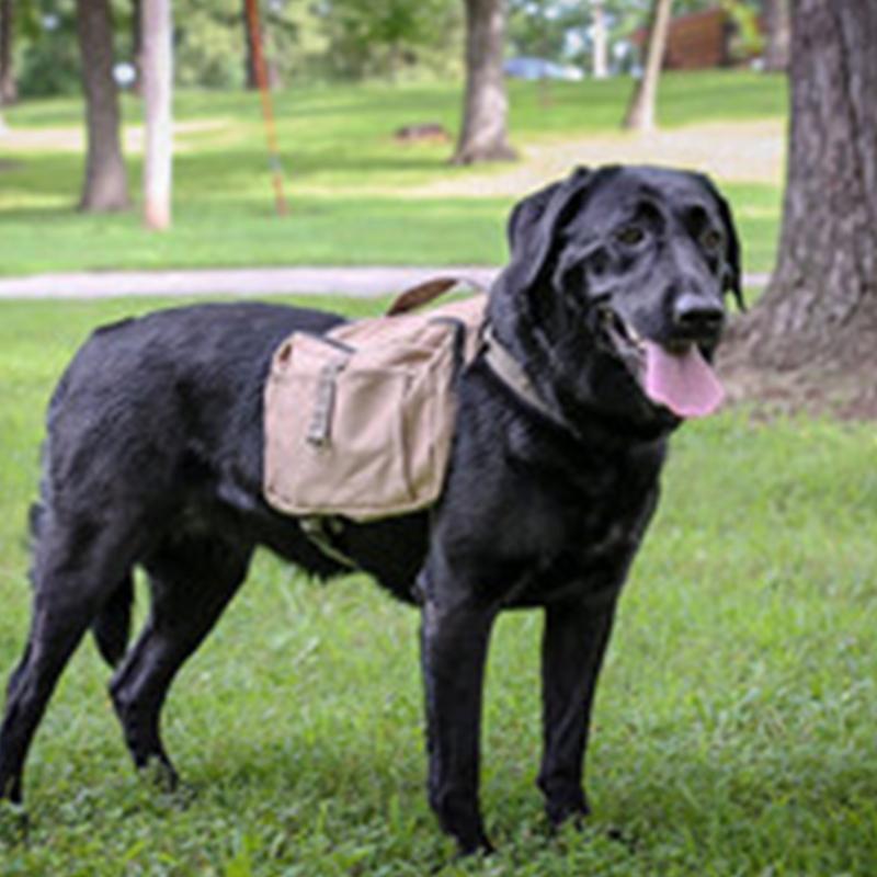 Adjustable Puppy Bag Vest with D-Ring for Small Medium Dogs Puppy Bag Outdoor