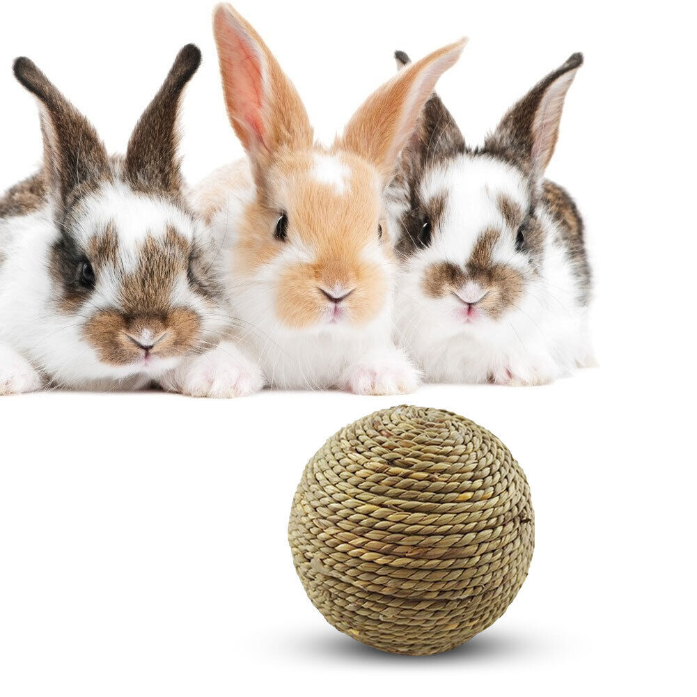 Small Animal Chew Grass Ball Pet Hamster Molar Tooth Clean Balls (Straw)