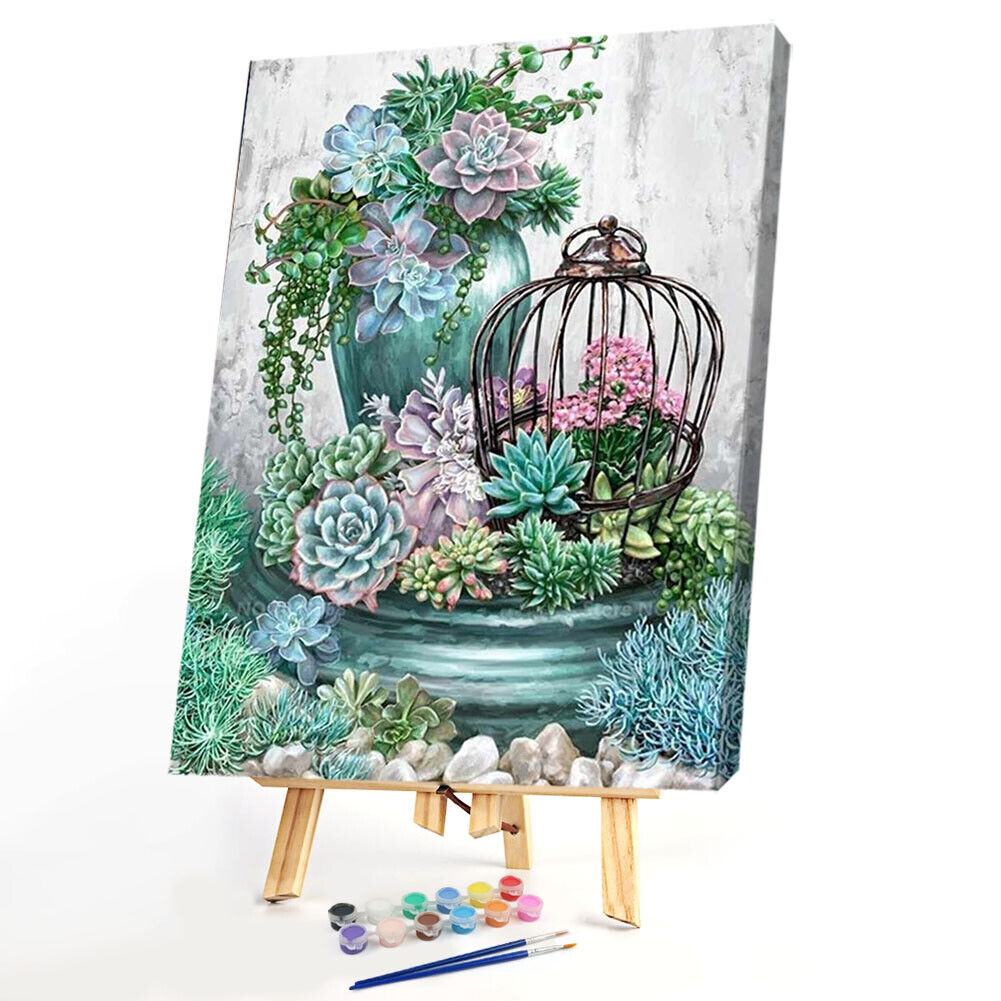 Painting By Numbers Kit DIY Succulent Plants Canvas Oil Art Picture Craft