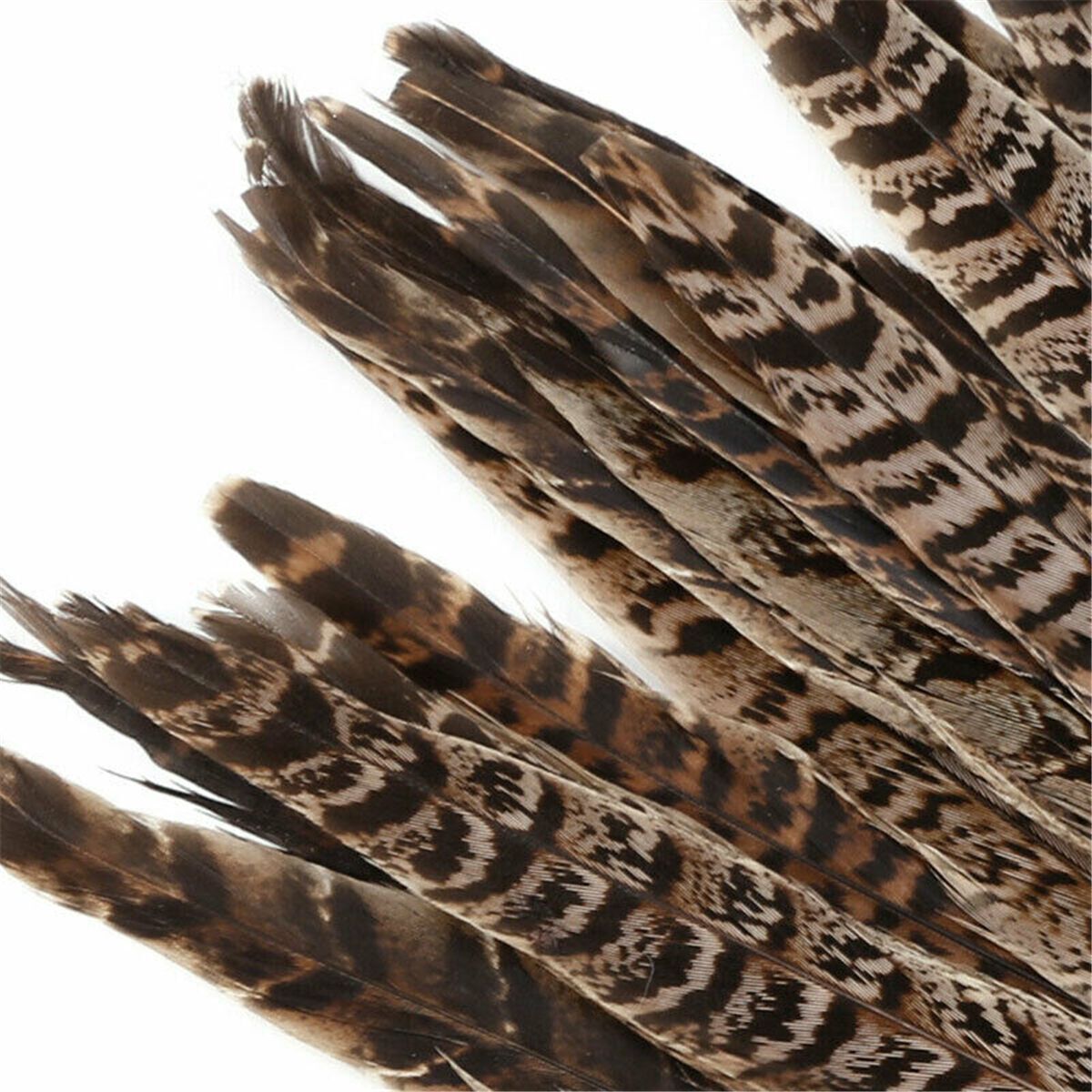 Wedding Home Craft Natural Pheasant Feathers Pheasant Tail Feathers Party