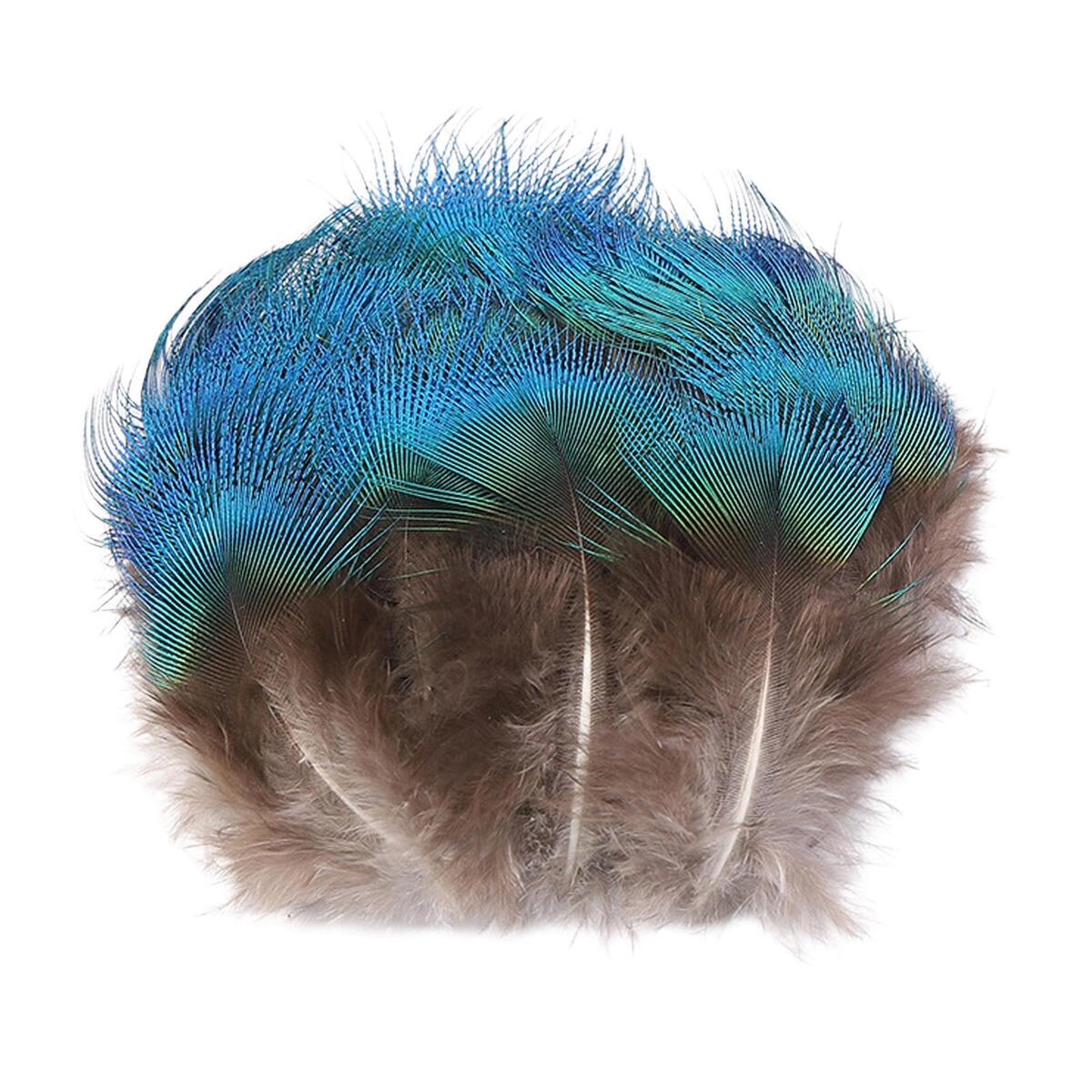 10x Blue Peacock Feathers DIY Headdress Craft Bulk Body Feathers for Show Vases