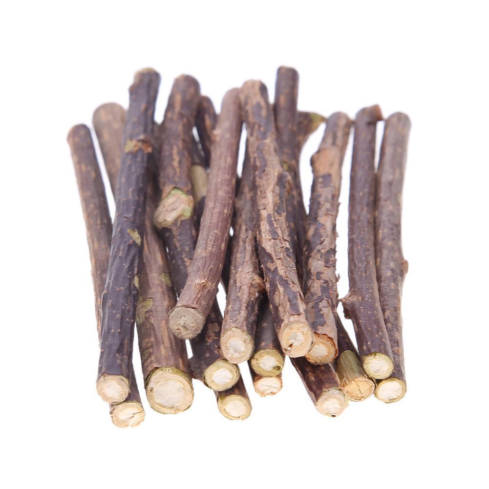 15pcs Natural Fruit Matatabi Cat Snacks Sticks Catnip Pet Cat Molar Rod