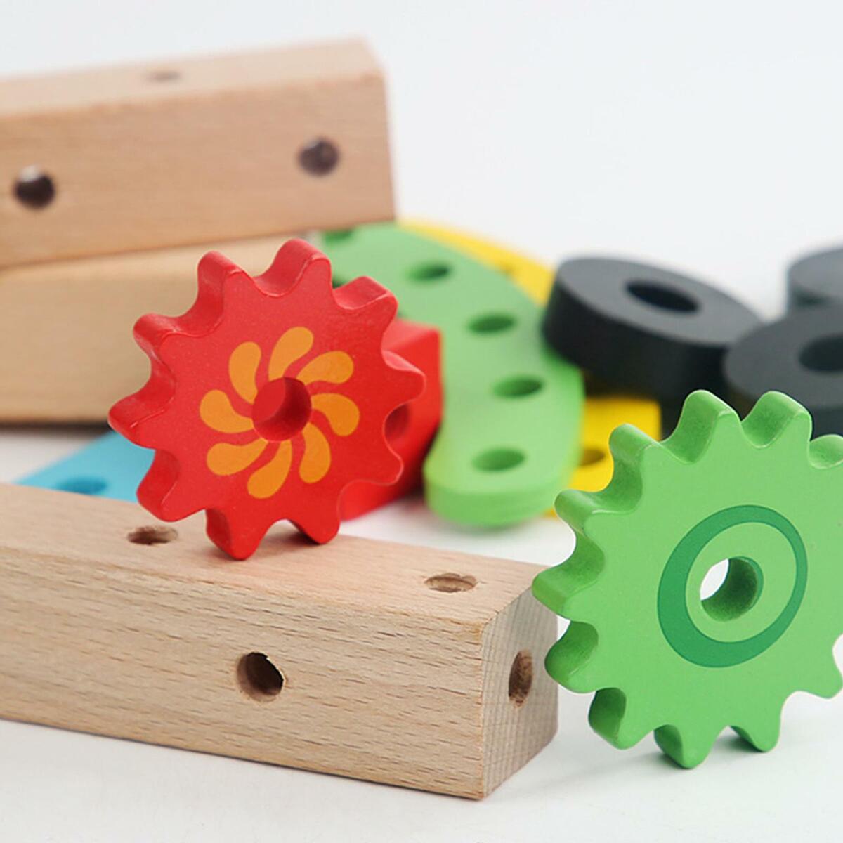 Wooden Montessori   Variety Nut for Toddlers Preschool