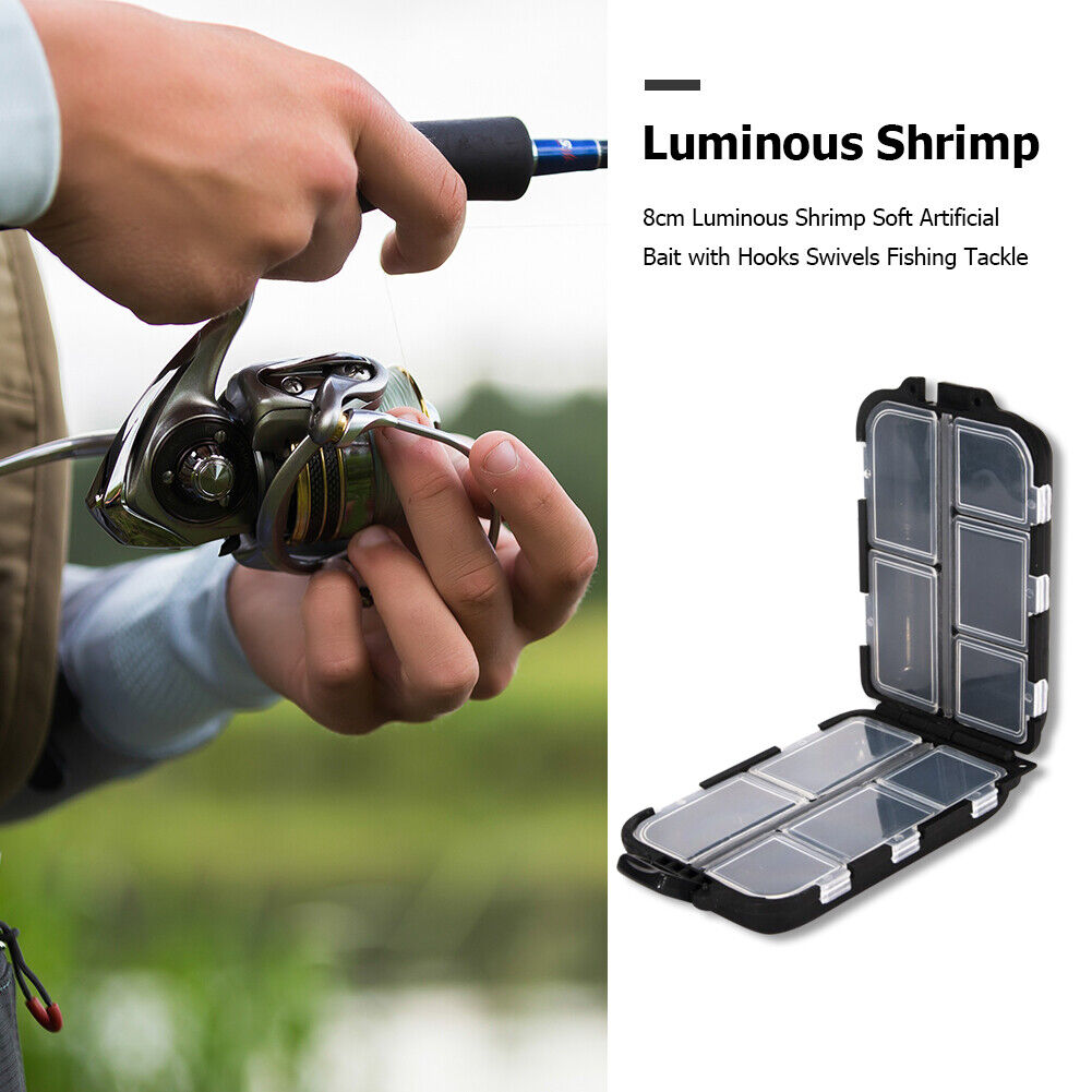 Fishing Lure Boxes Bait Storage Case Fishing Tackle Hook Trays Organizers