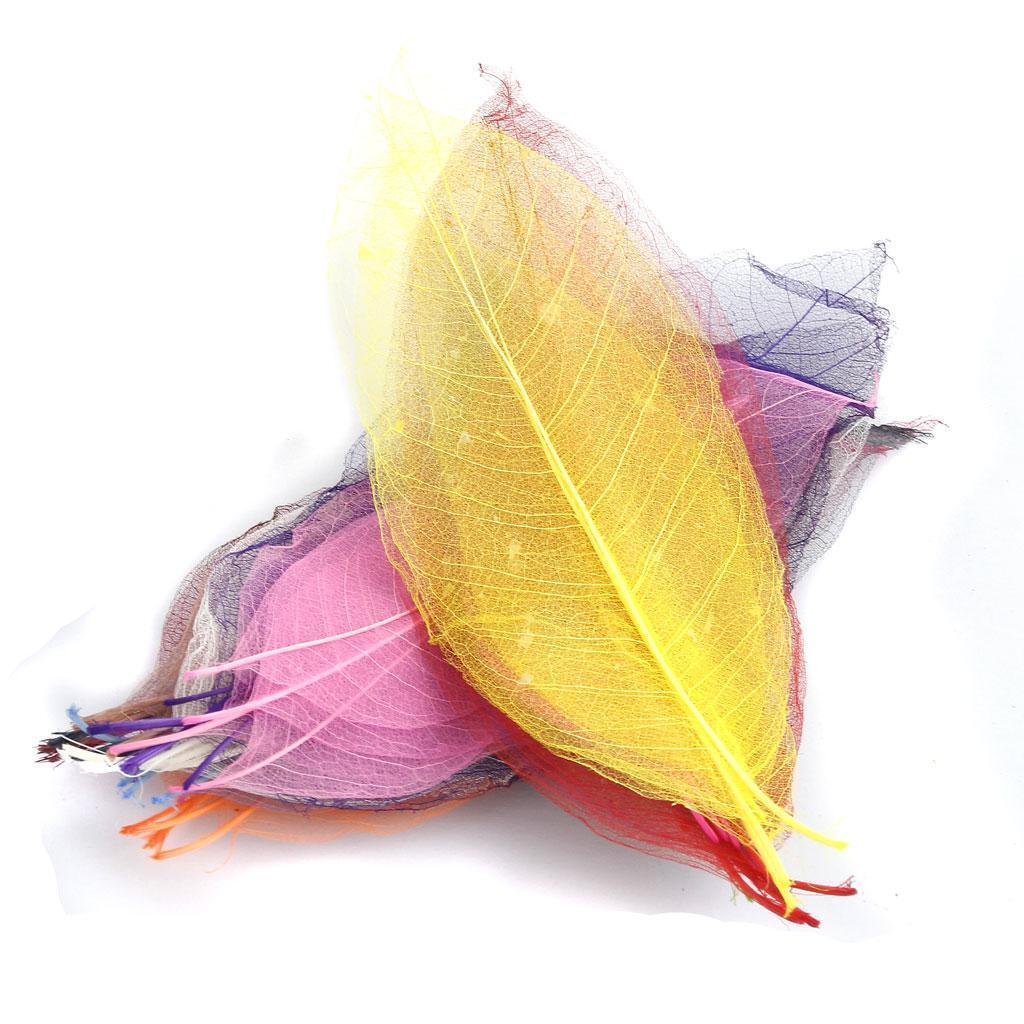 150pcs Natural Magnolia Skeleton Leaves Scrapbooking Mixed Color Decor Gifts