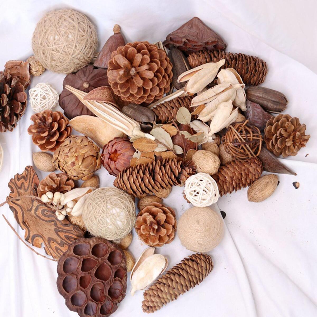 Assorted  Pine Cones  Rustic Lotus Seedpods  Cord Rattan Ball