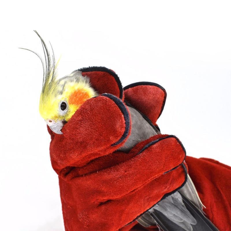 Bird Training Anti-bite Gloves Parrot Chewing Working Safety Protective Gloves