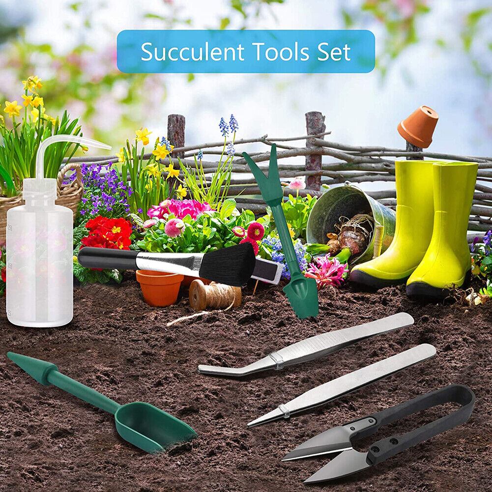 7pcs Succulent Transplanting Bonsai Seedling Drilling Garden Planter Kit