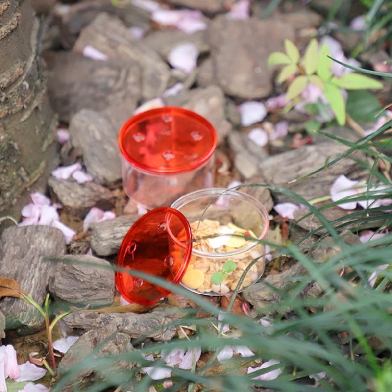 Metal Bird Feeder Plastic Bowl Creative Hanging Hummingbird Feeder Accessory