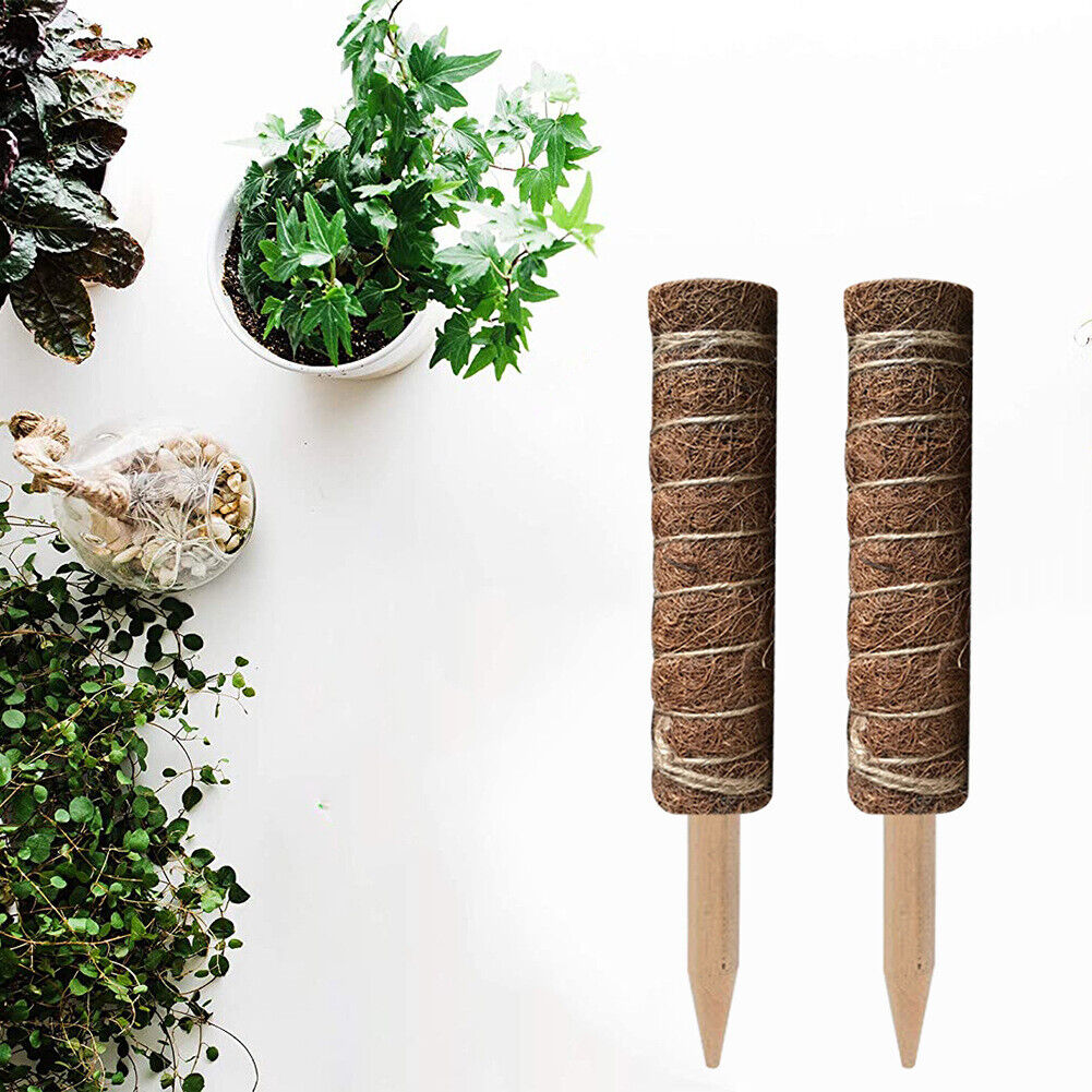 50cm Garden Plant Climbing Pole Coir Moss Stick Coconut Palm Sticks Creeper