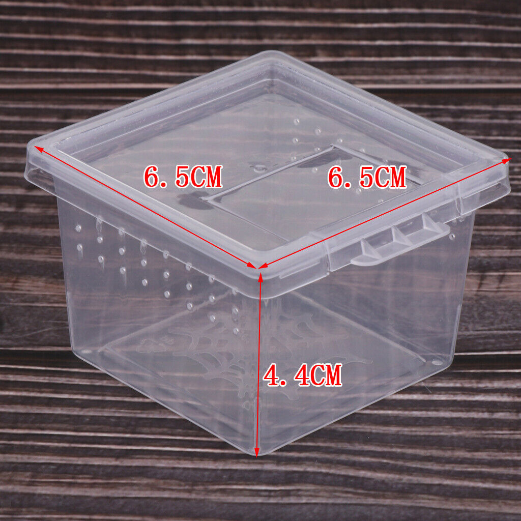 20 Pcs Insect Reptile Spider Terrariums Breeding Box Hatching Container