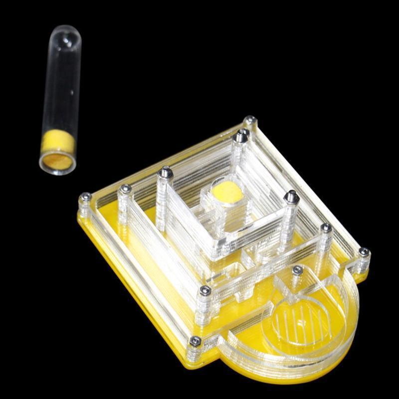 Ant Farm Ants Habitat Nest Water Tower Transparent Box to Observe Live Ants