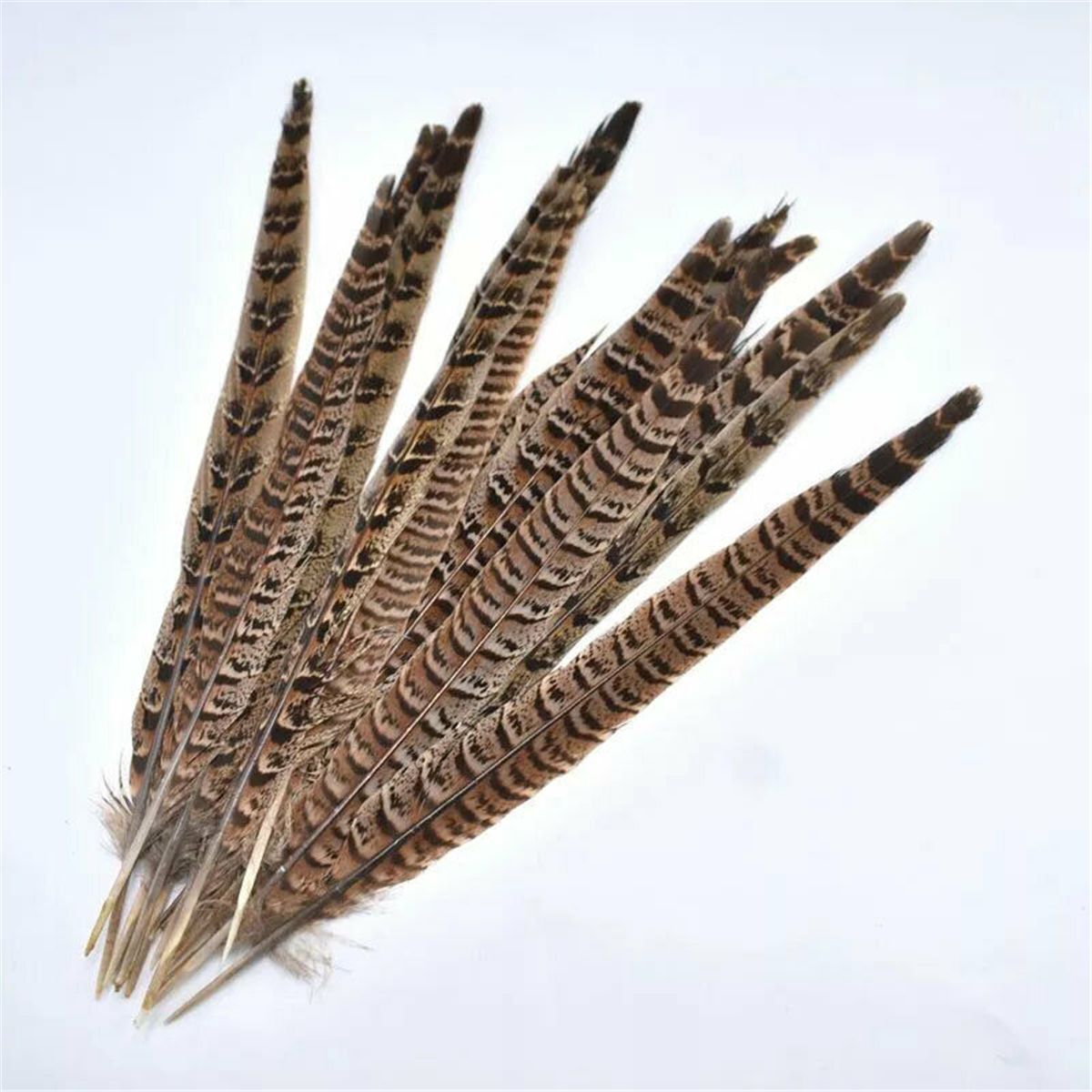 Wedding Home Craft Natural Pheasant Feathers Pheasant Tail Feathers Party
