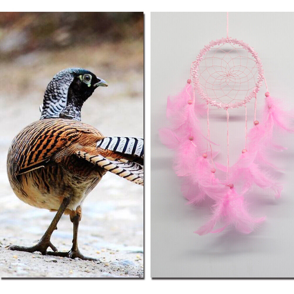 Flower Feathers Dream Catcher Wall Hanging Home Car Decor Ornament(Pink)