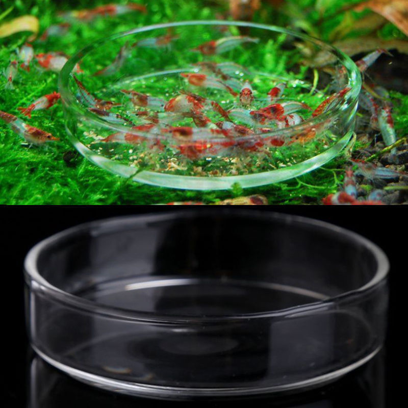 Tray Container Acrylic. Aquarium Fish Tank Clear Shrimp Feeding Food Dish Feeder