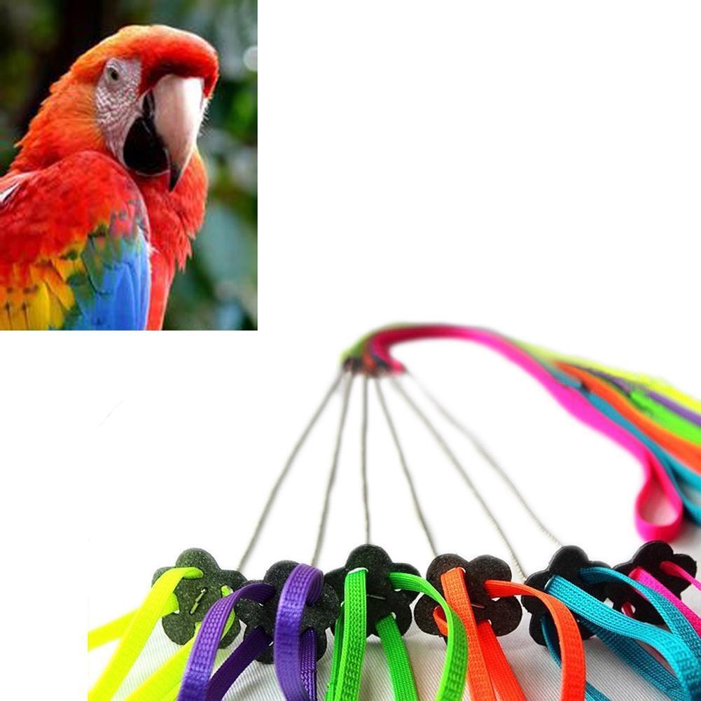 Bird Parrot Adjustable Harness & Leash Anti-bite Multicolor Light Soft