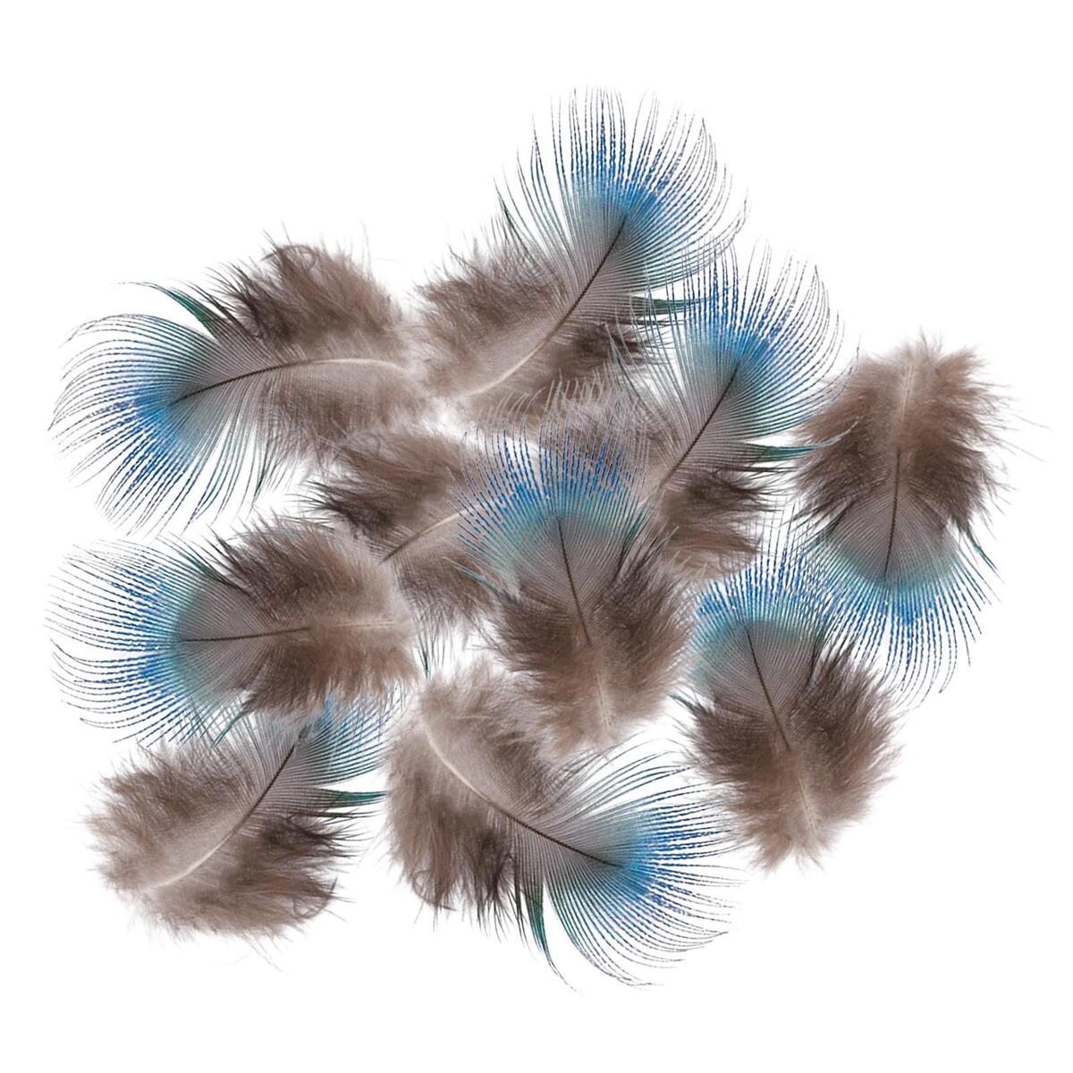 10x Blue Peacock Feathers DIY Headdress Craft Bulk Body Feathers for Show Vases