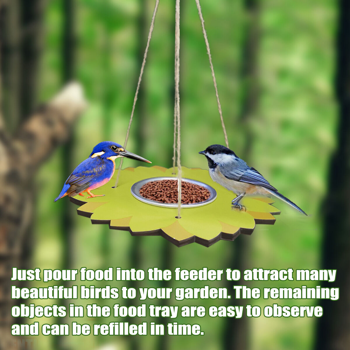 Bird Feeders for Outside - Hanging Platform Bird Feeder Seed Tray Plate