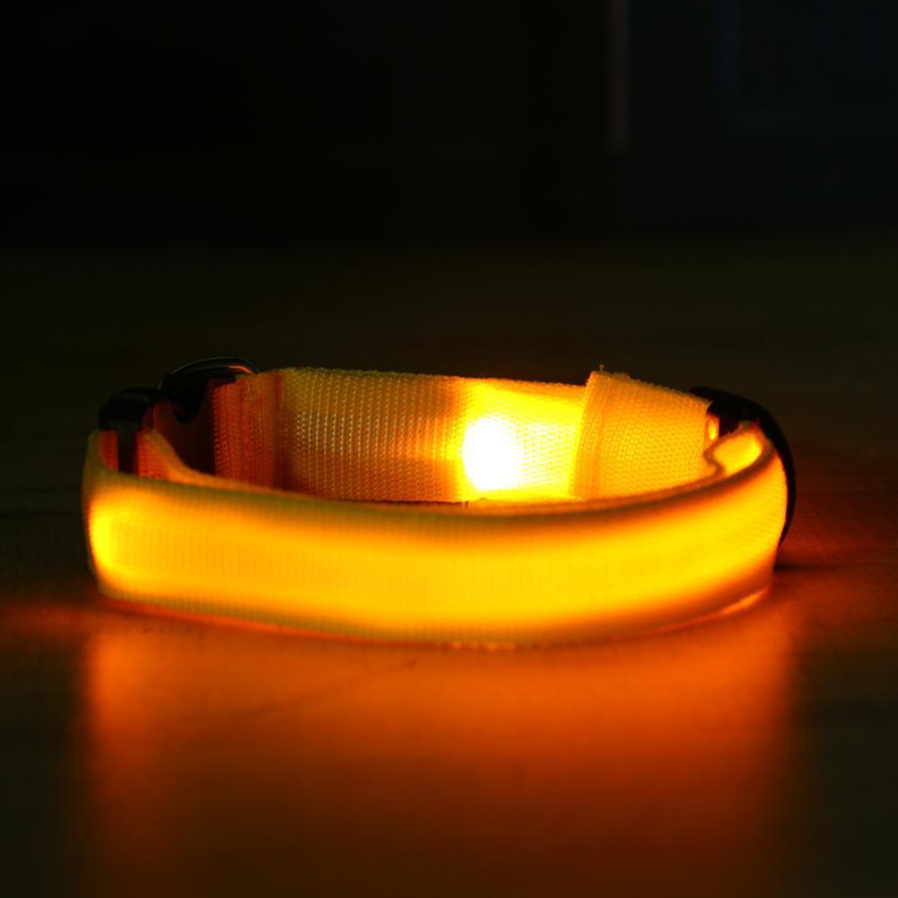 2.5cm LED Night Flashing Dog Pet Necklace Nylon Collar Leash(Yellow/XL)