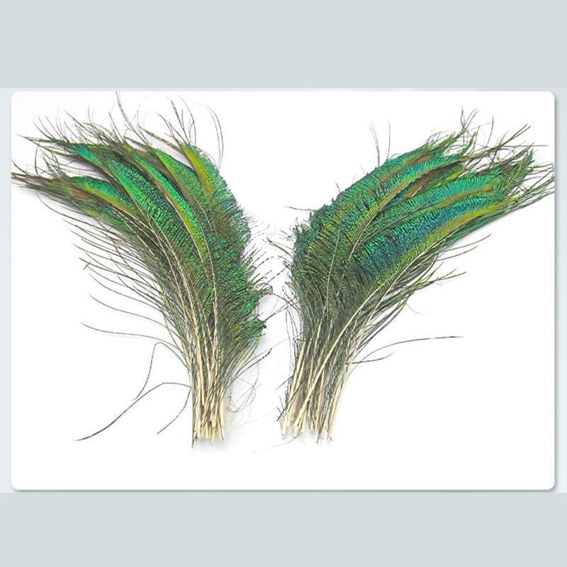 20 Pieces/Pack Natural Peacock Sword Feathers Exquisite Birthday Gift Box Filler
