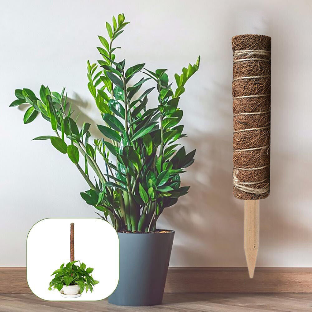 50cm Garden Plant Climbing Pole Coir Moss Stick Coconut Palm Sticks Creeper