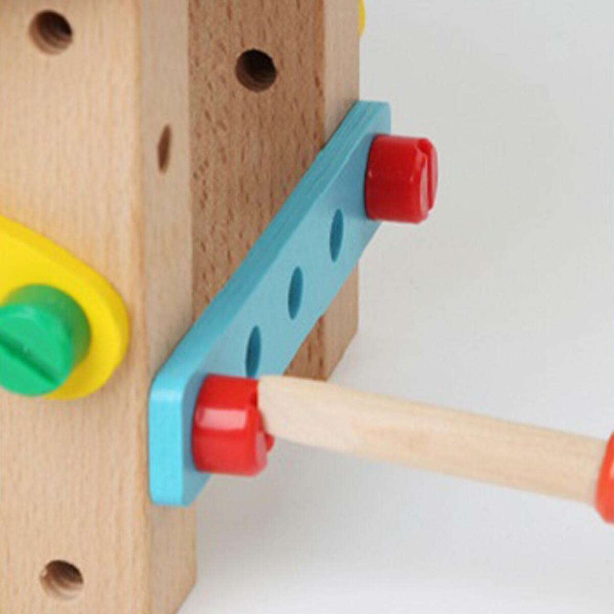 Wooden Montessori   Variety Nut for Toddlers Preschool