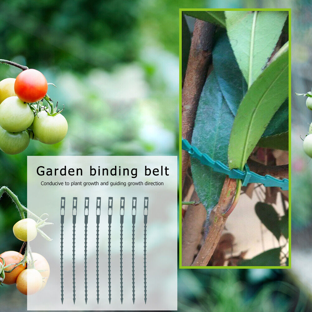 50x/bag Plastic Plant Ties Reusable Adjustable Grow Kit Garden Tools (17cm)