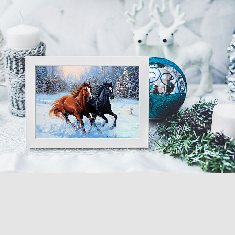 Two Horse DIY Diamond Painting Cross Stitch Kit Embroidery Home Decor Craft