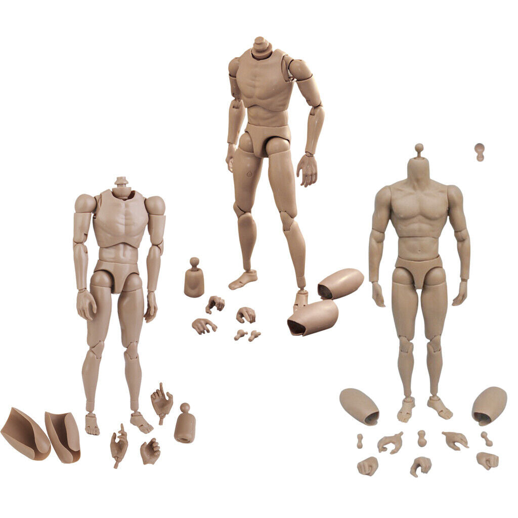 10Pcs 1/6 Scale Hot  Body Sketch Skeleton for Dragon DML BBI DID