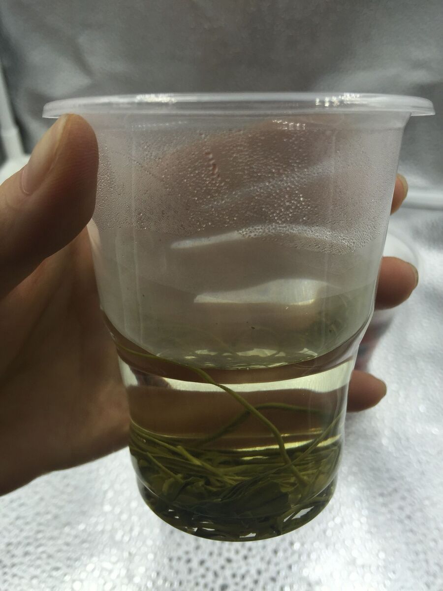 50x Clear Disposable Plastic Cups230 ml Cold Drink Tumbler Water Juice Party