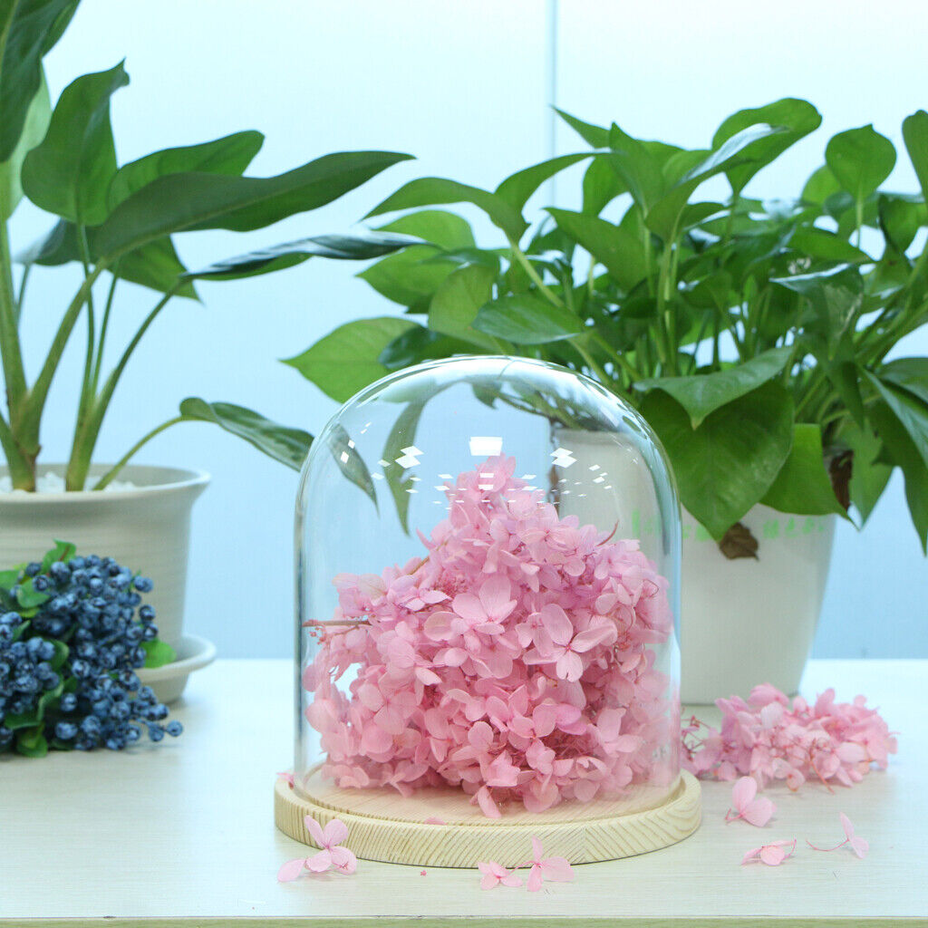 Wooden  Dome with Wooden  Cloche   Flower  Holder C