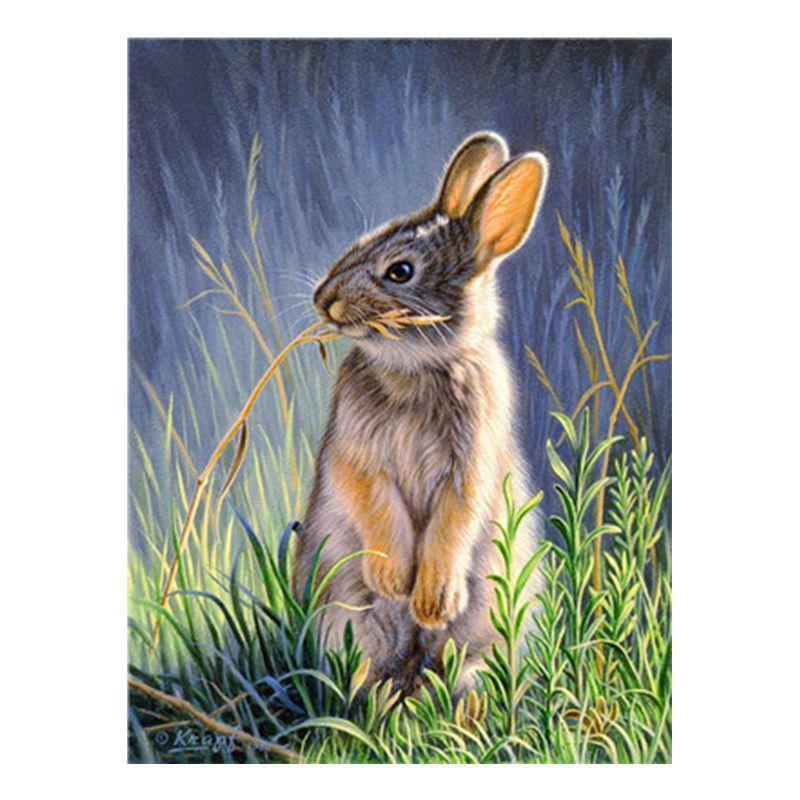 Rabbit Digital Oil Painting By Numbers Canvas Wall Picture DIY Hand Painted Art