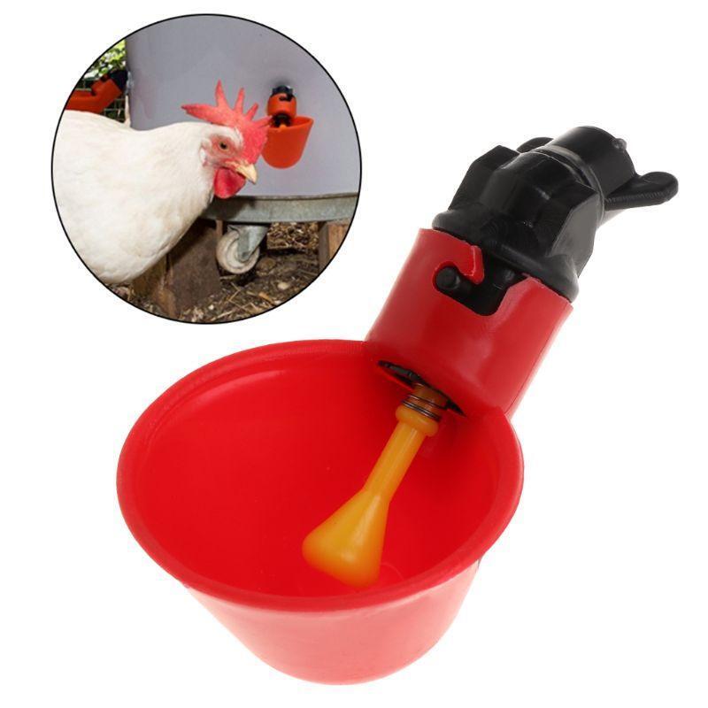 Automatic Chicken Waterer Parrot Drinking Bowl Water Feeder Poultry Drinking Cup