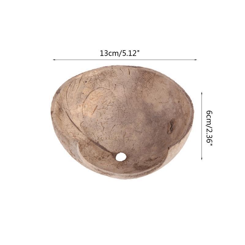 Reptile Aquarium Ornament Coconut Shell Reptile Hiding Cave for Lizard Tortoises