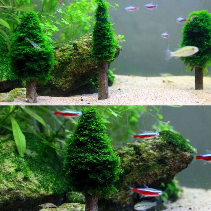 Aquatic Plants Moss Holder Live Grass Bracket Fish Tank Decor Accessories